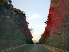 -南窖乡水峪村山情农家