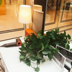 大厅-PIONEER·韩式