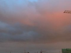 -丸摩堂鲜果茶(九方店)