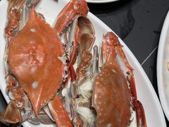 -金海湾海鲜排档(朱家尖店)
