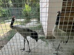 -青藏高原野生动物园