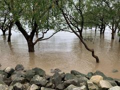 -宝安西湾红树林湿地公园