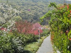 -龙寺生态园