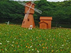 -苏州上方山国家森林公园