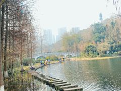 -重庆彩云湖湿地公园