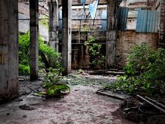 -广东紫坭糖厂(桥头路)