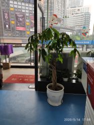 -蕾特恩专业祛痘·皮肤管理