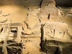 -洛阳周王城天子驾六博物馆