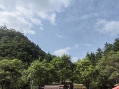 -狮子沟牧场