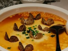 -河畔春天时尚餐厅