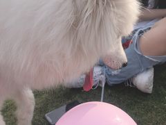 -栖露营camping·天幕烧烤·团建拓展·采摘营地