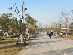 -盘龙城国家考古遗址公园