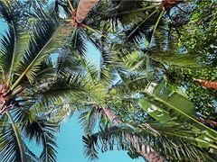 三亚湾海居铂尔曼度假酒店-三亚湾海居铂尔曼度假酒店