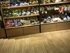 -九木杂物社(恒隆广场店)