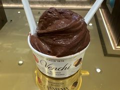 重黑巧克力口味冰淇淋-VENCHI 闻绮(北京国贸商城店)