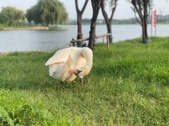 -北龙湖湿地公园