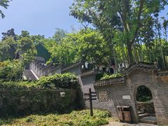-镇江市南山风景名胜区竹林景区