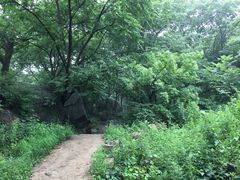 -大岭沟猕猴桃谷风景区