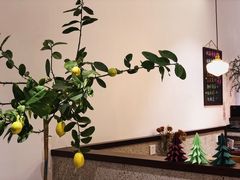 -肥朵食堂(带梦胡同店)