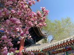 -大钟寺古钟博物馆