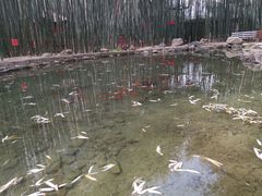 -竹泉村旅游度假区