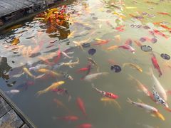-中国宣纸文化园