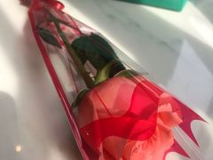 -Madeleine玛德琳(永平里店)