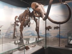 -辽宁古生物博物馆