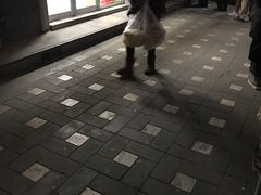 -天泽祥·鼓楼馒头(鼓楼店)