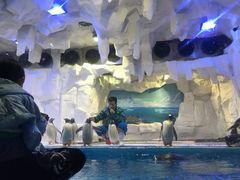 -华夏文旅海洋公园