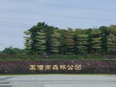 -王借岗森林公园
