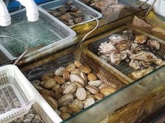 -公寓家常菜馆(海军博物馆店)