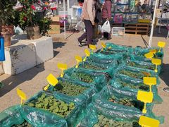 -中环花鸟鱼虫市场