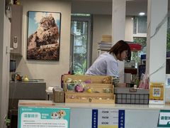 -伟伟宠物医院·CT影像中心·瑞派犬猫综合性门诊(汉口总院)