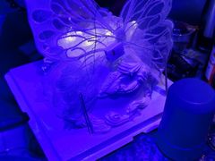 -野猫娱乐空间·酒吧·KTV(南屏店)