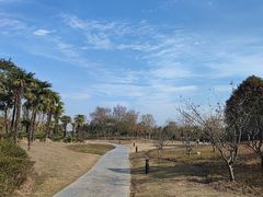-春花秋色城市公园
