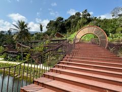 -海南热带雨林国家公园吊罗山景区