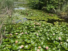 -池杉湖湿地公园