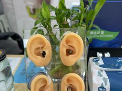 -自然之声助听器·呼吸机(康桥旗舰店)