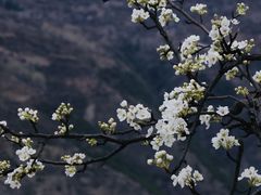 -郑姐私房菜•家常菜