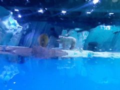 -上海海昌海洋公园-停车场