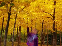 -中家鑫园温泉酒店鑫悦汤泉