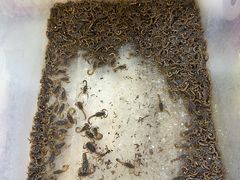 -粤盛海鲜楼(融冠乐城店)