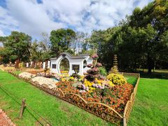 -上海共青森林公园