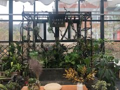 -北马山庄植趣咖啡