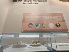 -辽宁古生物博物馆