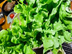 -韩罗苑(万象城店)