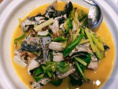 -饭怕鱼(阳光100店)