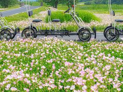 -良渚古城遗址公园