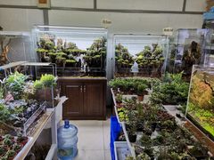 -无锡文化工艺品市场(槐古路店)